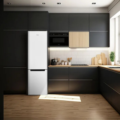 Frigorífico Combi Wonder WC185500E, Cíclico, 262L, E, 180 x 55 x 56 (cm), Puertas reversibles, Blanco