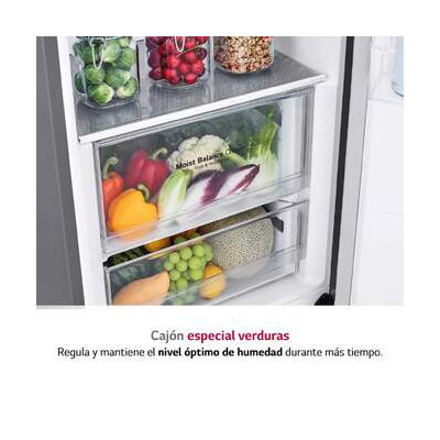 LG GLT51PZGSZ frigorífico Independiente 386 L E Acero inoxidable